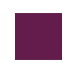 AP-116 Purple Paasche Extreme Air Acrylic Airbrush Paint 1oz