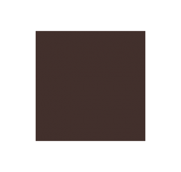 AP-119 Burnt Umber Paasche Extreme Air Acrylic Airbrush Paint 1oz