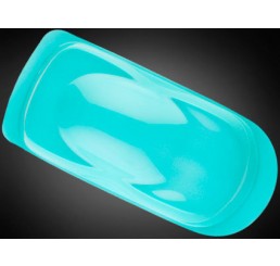 W019 Wicked Colors Airbrush Paint - Fluorscent Aqua - 2oz